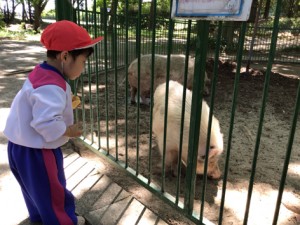 親子旅行⑦